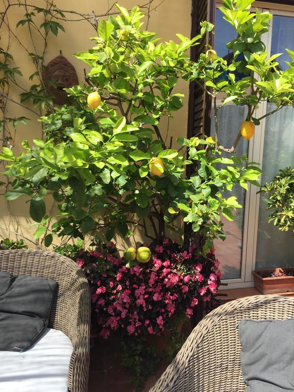 Terrazza Duomo Bed & Breakfast Наполи Екстериор снимка